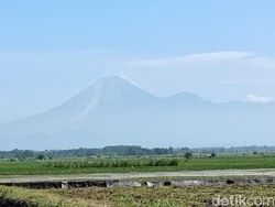Semeru 6 Kali Luncurkan Guguran Lava Pijar Sejauh 1,5 Kilometer