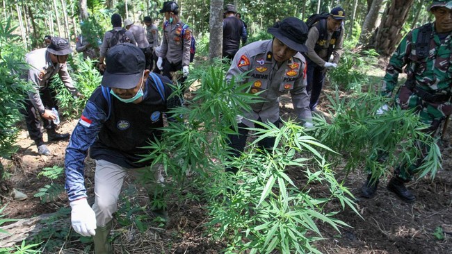 Bingkai Sepekan Edisi 22 Juni 2026