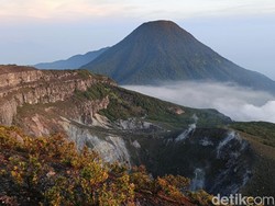 Dear Traveler, Gunung Gede Pangrango Tutup Sementara di Akhir Juli