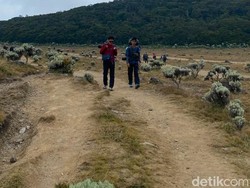 Cegah Karhutla, Penutupan Pendakian Gunung Gede Pangrango Diperpanjang