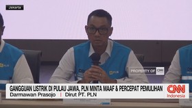 PLN Minta Maaf