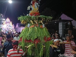 Warga Probolinggo Berebut Gunungan di Buk-Buk Bumeh Bulen Sorah