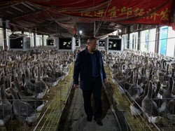 Bisnis Foie Gras, Pria yang Pernah Kelaparan Ini Sekarang Hidup Mewah