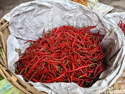 Harga Cabai Merah Naik di Sumut, Nias Selatan Tembus Rp 60 Ribu per Kg