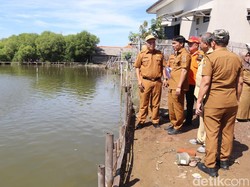 Langganan Terendam Rob, Desa Ambulu Cirebon Menanti Tanggul Raksasa