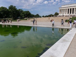 Trump Marah Besar Kolam Refleksi Washington Rusak Usai Direnovasi