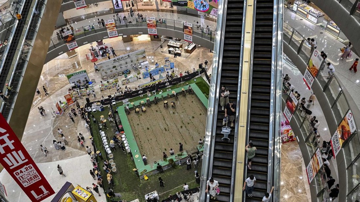 Competitors take part in a rice transplanting competition in a paddy set up inside a shopping mall in Ningbo, in China's eastern Zhejiang Province on June 21, 2026. (Photo by HECTOR RETAMAL / AFP)