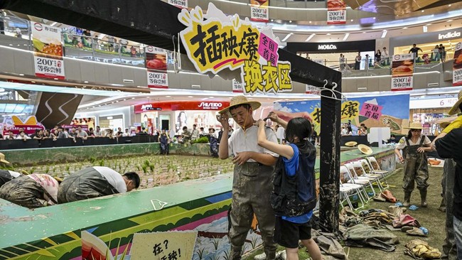 Competitors take part in a rice transplanting competition in a paddy set up inside a shopping mall in Ningbo, in China's eastern Zhejiang Province on June 21, 2026. (Photo by HECTOR RETAMAL / AFP)