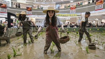 Competitors take part in a rice transplanting competition in a paddy set up inside a shopping mall in Ningbo, in China's eastern Zhejiang Province on June 21, 2026. (Photo by HECTOR RETAMAL / AFP)