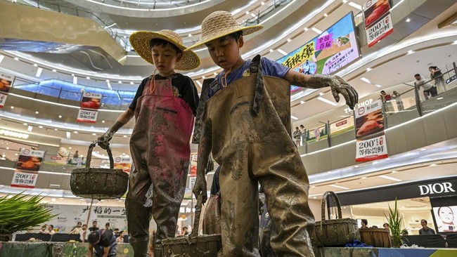 Competitors take part in a rice transplanting competition in a paddy set up inside a shopping mall in Ningbo, in China's eastern Zhejiang Province on June 21, 2026. (Photo by HECTOR RETAMAL / AFP)