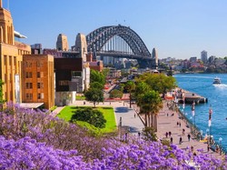 Sydney & NSW: Panduan Lengkap Liburan Musim Dingin dan Musim Semi Terbaik
