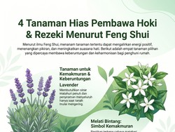 Infografis: 4 Tanaman Hias yang Bisa Menarik Hoki ke Rumah Menurut Feng Shui