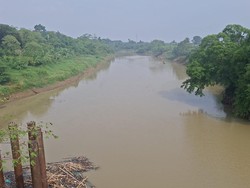 Kondisi Terkini Air Sungai Ciujung di Serang yang Sempat Menghitam