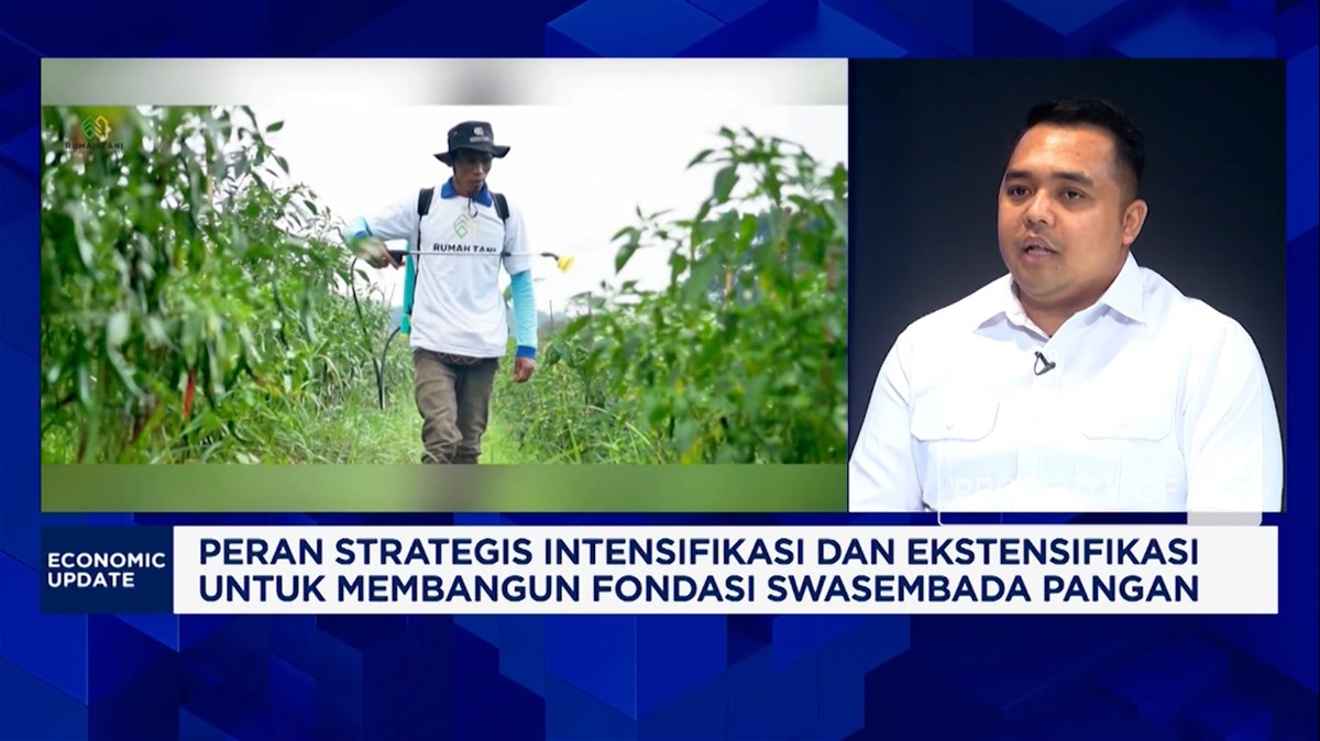 Kunci Swasembada Pangan, Ini Cara Agar Generasi Muda Mau Jadi Petani