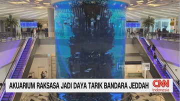 VIDEO: Akuarium Raksasa Jadi Daya Tarik Bandara Jeddah