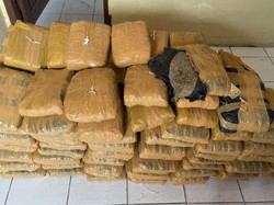 Kecelakaan di Taput Bikin Pengiriman 112 Kg Ganja dari Madina ke Medan Terbongkar