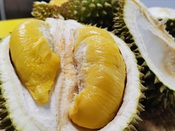 15 Makanan Paling Bau di Dunia Diungkap, Ada Petai dan Durian!