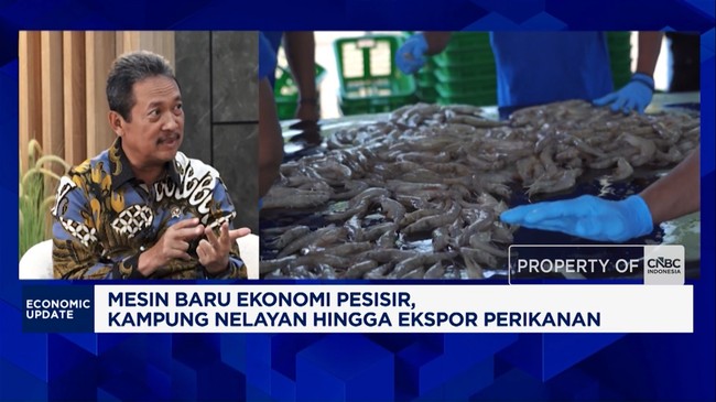 Video: Ikan-Udang RI Bersaing di Pasar Ekspor, KKP Jamin Mutu-Standar