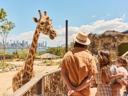 Ini Rencana 8 Hari Berlibur bersama Keluarga di Sydney & New South Wales