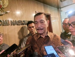 Luhut Minta Publik Tak Ributkan MBG: Sudah Diselesaikan Baik-baik Semua