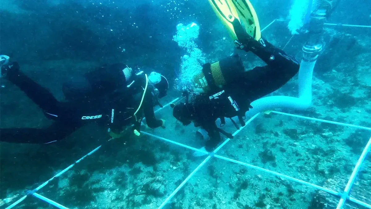 Ahli Temukan Kuburan Massal Bawah Laut, Ada 150 Bangkai Kapal 