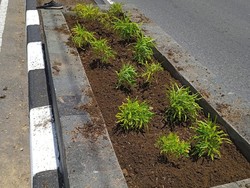 Waduh! Tanaman Hias di Taman Baru Maguwoharjo Jadi Langganan Maling
