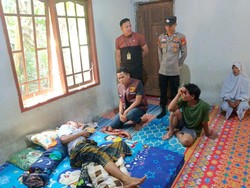 Petani di Mura Diserang Beruang Saat Berkebun, Luka di Pinggang dan Paha