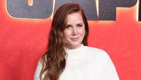 US actress Amy Adams (Photo by VALERIE MACON / AFP)