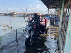 Cerita Warga Tunggulsari Pati Perabotan Rusak-Jualan Hanyut gegara Banjir Rob