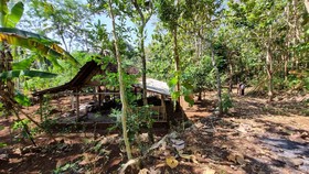 Suasana di lokasi yang dahulunya merupakan Pedukuhan Sari di Kalurahan Banjarejo, Tanjungsari, Gunungkidul, Kamis (18/6/2026).