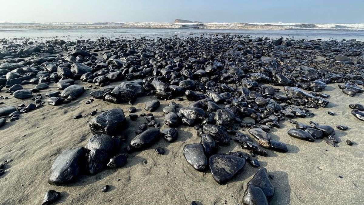 Tumpahan Batu Bara Cemari Pantai Pangandaran, Habitat Penyu Terancam