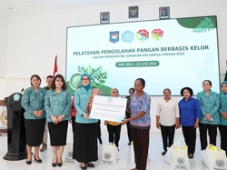 Staf Ahli TP PKK Dukung Kelor NTT Jadi Komoditas Bernilai Gizi-Ekonomi