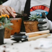 Menurut Psikolog, Ini 3 Manfaat Berkebun yang Belum Banyak Orang Tahu