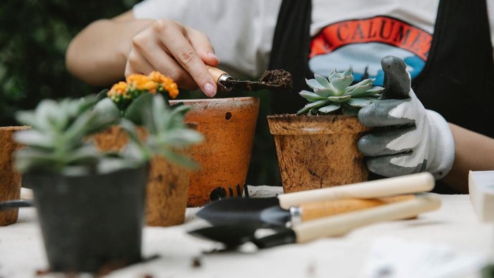 Menurut Psikolog, Ini 3 Manfaat Berkebun yang Belum Banyak Orang Tahu
