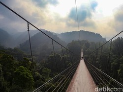Sensasi Menyusuri Jembatan Terpanjang di Asia Tenggara di Tengah Hutan Sukabumi