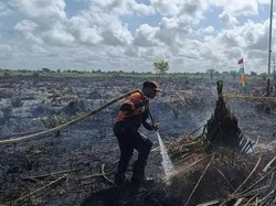 Karhutla di Lahan Calon Perumahan Kotim. Satu Hektare Gambut Menyala