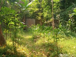 Kampung Mati di Sleman Jadi Langganan Ngonten, Warga Pasang Papan Peringatan