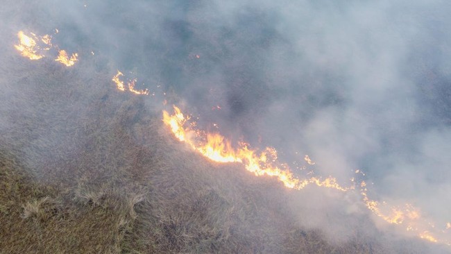 Kebakaran Lahan di Indralaya Utara