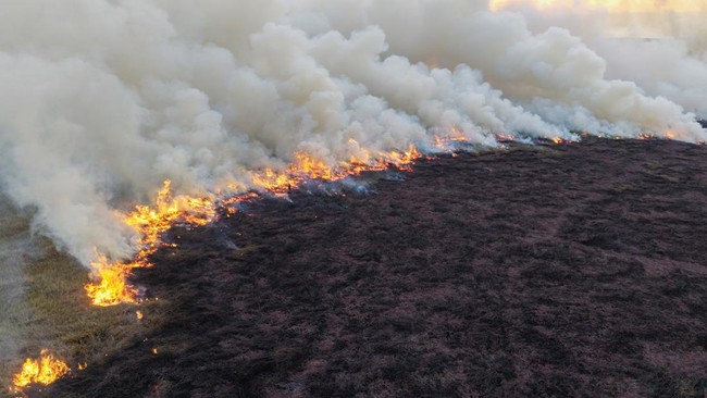 Kebakaran Lahan di Indralaya Utara