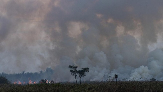 Kebakaran Lahan di Indralaya Utara