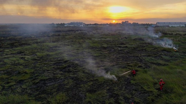Kebakaran Lahan di Indralaya Utara