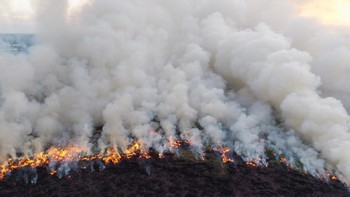 Kebakaran Lahan di Indralaya Utara