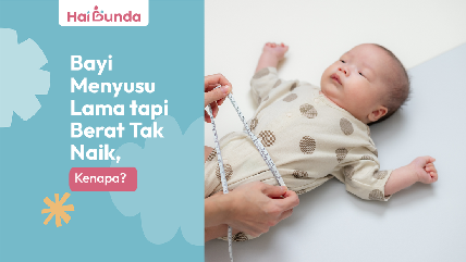 Detik Network