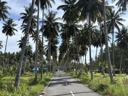 PR Besar Desa Wisata Teluk Sumbang: PLTS Rusak, Internet Terhalang Gunung