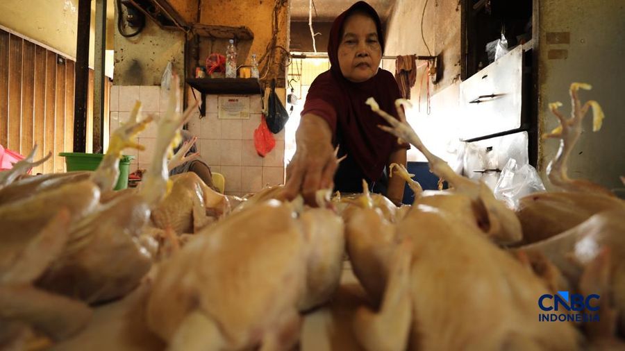 Harga ayam di penjual turun drastis ke nomor Rp 13.000/kg di pasar Kebayoran Lama, Jakarta, Senin (29/6/2026). (CNBC Indonesia/Tri Susilo)