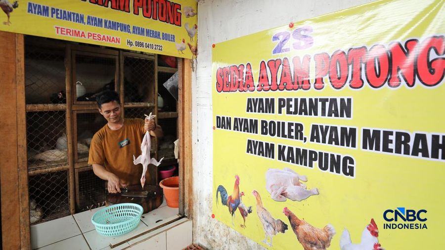Harga ayam di penjual turun drastis ke nomor Rp 13.000/kg di pasar Kebayoran Lama, Jakarta, Senin (29/6/2026).