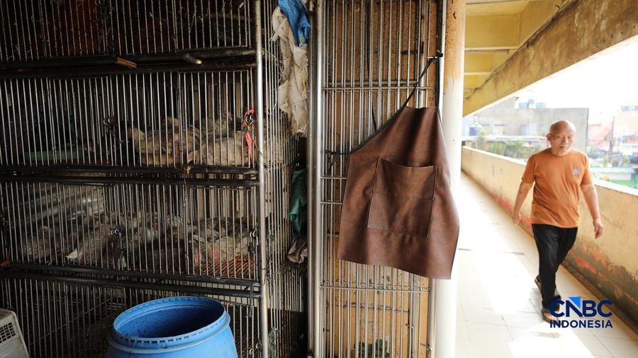 Harga ayam di penjual turun drastis ke nomor Rp 13.000/kg di pasar Kebayoran Lama, Jakarta, Senin (29/6/2026).