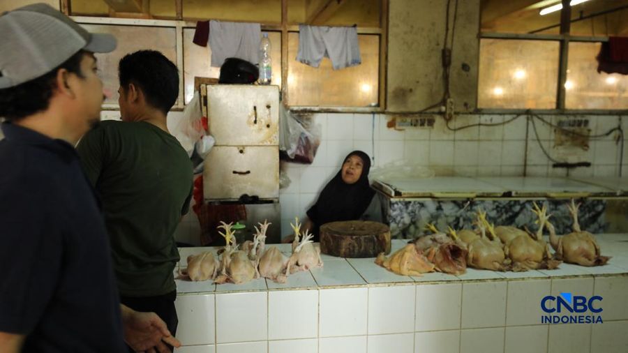 Harga ayam di penjual turun drastis ke nomor Rp 13.000/kg di pasar Kebayoran Lama, Jakarta, Senin (29/6/2026).