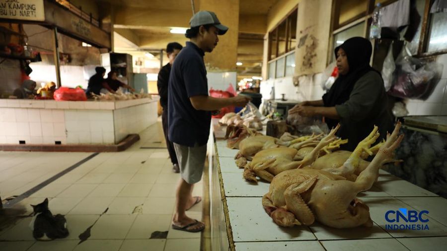 Harga ayam di penjual turun drastis ke nomor Rp 13.000/kg di pasar Kebayoran Lama, Jakarta, Senin (29/6/2026).