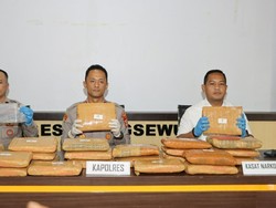 Kurir 24 Kg Ganja dari Sumut Ditangkap di Lampung, Polisi Buru Pemasoknya
